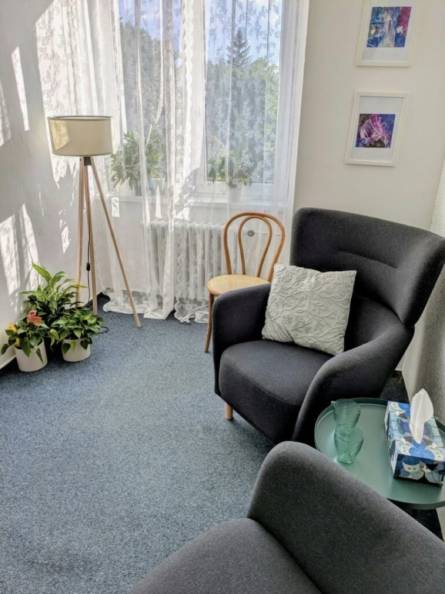 Terapeutická pracovna pro konzultace v Havířově